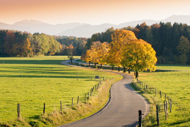 beautiful_road