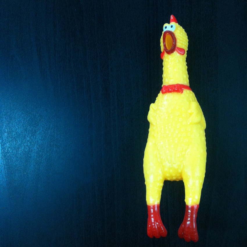 rubber chicken