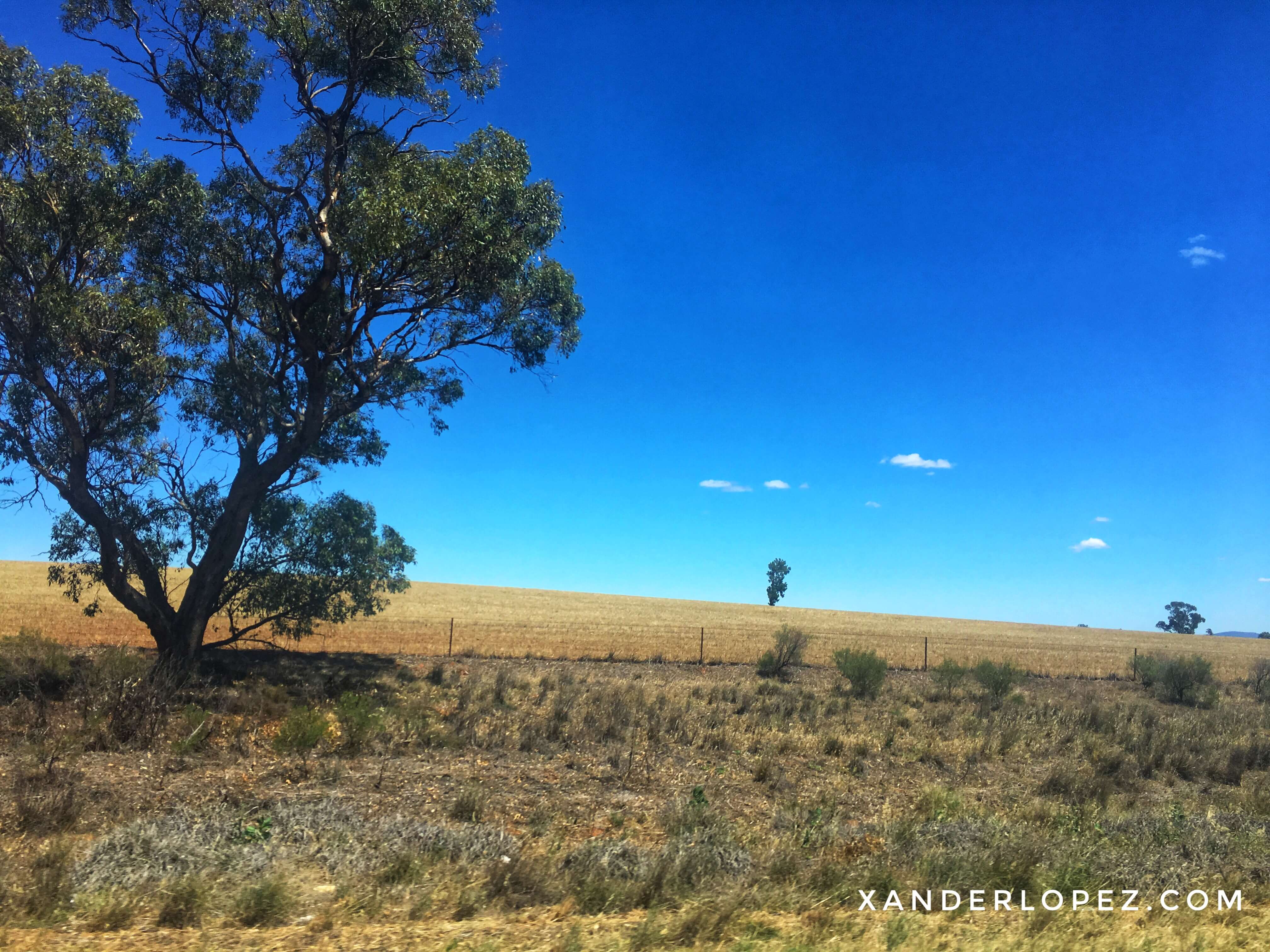 australia-new south wales-landscape